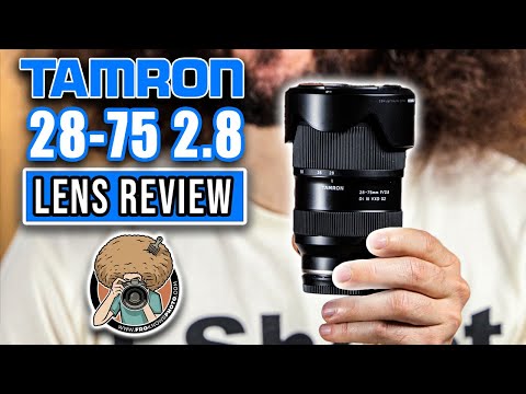 Video thumbnail for Video Review 3