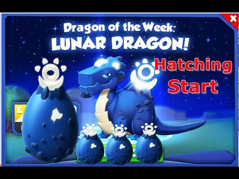 How to Breed Lunar Dragon-Dragon Mania legends | Dragon of The Week-LUNAR DRAGON Hatching | DML | HD