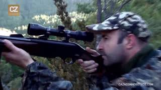 El Comú d&#39;Andorra i la seva malaltissa passió pels gossos