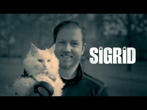 David Baddiel: Cat Man S01E01