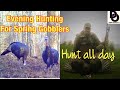 Evening Hunting For SPRING GOBBLERS Hunt ALL DAY