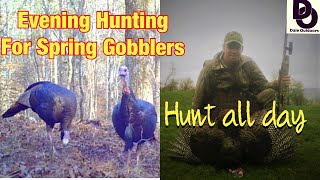 Evening Hunting for SPRING GOBBLERS/ Hunt ALL DAY