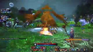 하르키아 광전사 입니다.