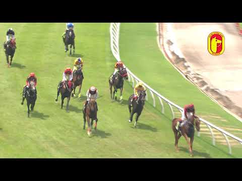 28 Sep 2019 - RACE 4