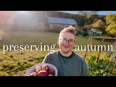 It Doesn't Always Work Out