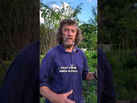 The Biggest Beginner Garden Mistake