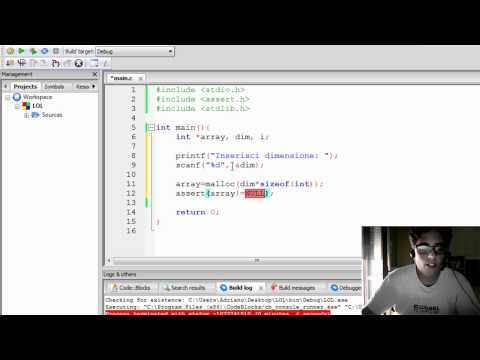 C 26 Allocazione dinamica con array di int