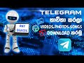 Videos Images Songs Download To Gallery Using The Telegram Application 2021 Sinhala Telegram