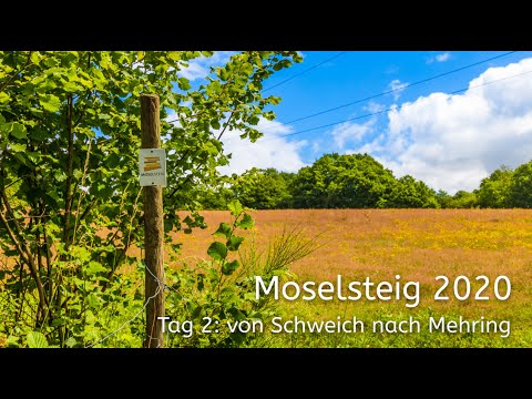 Moselsteig 2020 - Tag 2 - Schweich nach Mehring