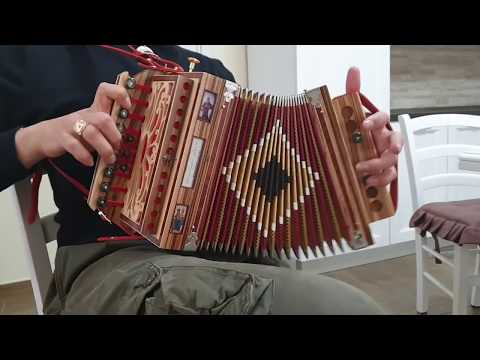 Tarantella Calabrese "A PASSU LENTU 2©️"(solo organetto)- FORTUNATO STILLITTANO -PROGETTO TARANTELLA