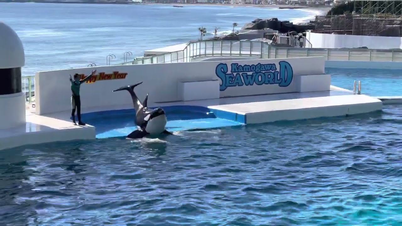 ポーズ、カッコいい