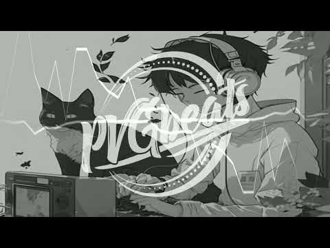 PVGbeats - Who Are U (Chill)