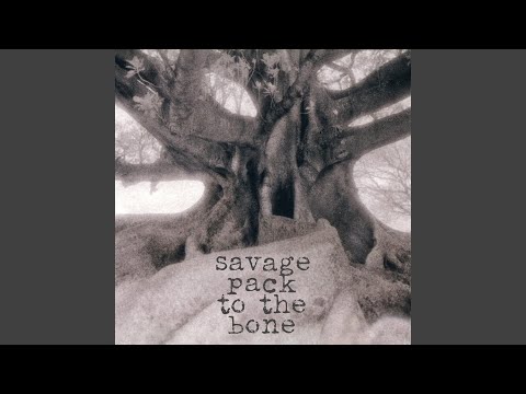 Notre Dame - Savage Pack