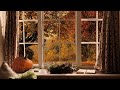AUTUMN RAIN ON WINDOW Ambience | Rain Sounds, Scribbles, Tea Pouring, Creaking | Cozy Ambience