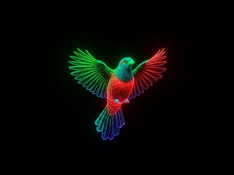 Relaxing 3D Hologram Video 1 Hour Bird Hologram Video  Stunning Visuals for DIY Smartphone Projector
