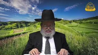 דף היומי בחצי שעה - קידושין דף כ"ג