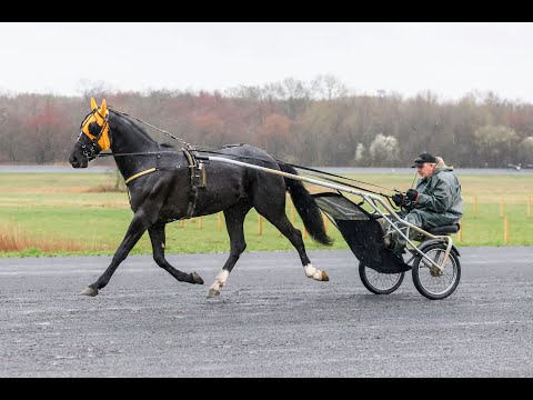 2025 USTrotting Top Contenders -- Ron Burke