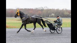 2025 USTrotting Top Contenders -- Ron Burke