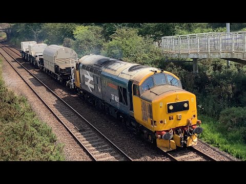 37401 With KUA Nuclear Flask & FNA Flasks AND, Carlisle Kingmoor, DRS Depot! (CLASS 37s!) | 19/7/23.