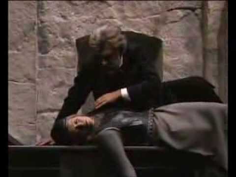 The Walkyrie - Wotan's Farewell