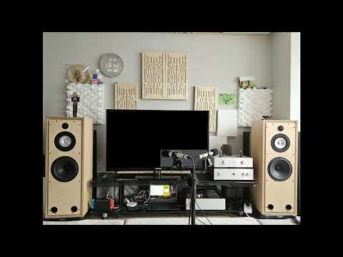 Caprice No. 1 in C Minor - Kristin von der Goltz