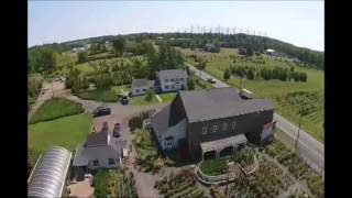 Pigs Are Next Door   Who do you call