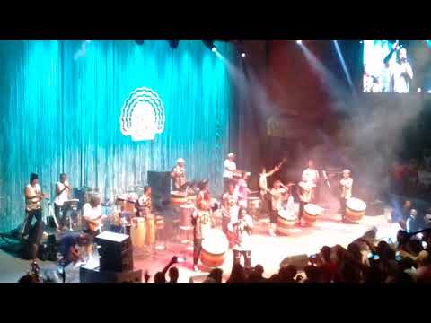 Olodum 2018 cocha negra