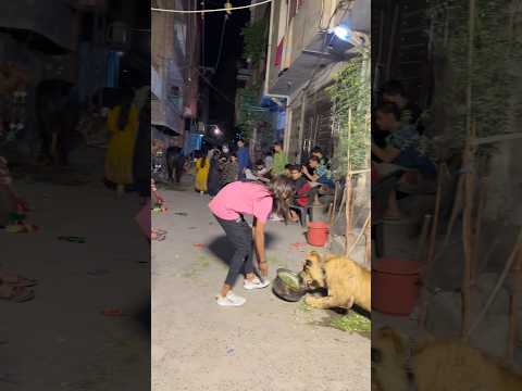 Kisi gali m shair aay😂❤️qurbani2026 kis kis na leli? #ytshorts #cow #animals #lion #petlover #pets