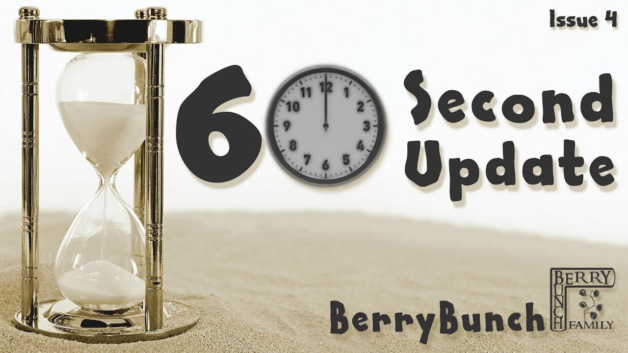 60 Second Update, Issue 4
