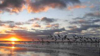 Peter, Sue &amp; Marc...   Like A Seagull