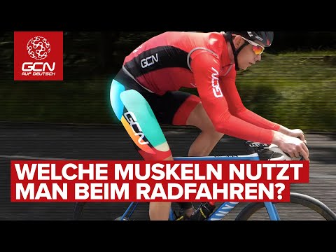 Welche Muskeln werden beim Radfahren beansprucht? | Muskelgruppen beim Training