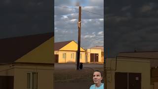 Cachorro Tentando Salvar Gato no Poste! 🐈🐕😱