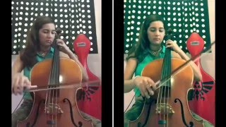 The Legend of Zelda Medley (Cello)