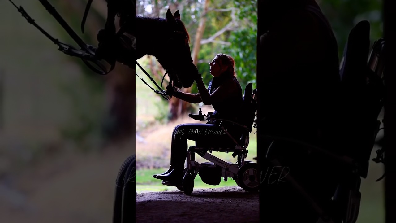 NOT THE SAME PERSON!! || #horse #edit #shorts #youtube #amazing #equestrian