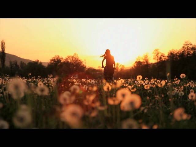 Dieses Video wurde blockiert