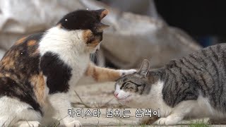 Samsaek, super cute yet strict with her daughter’s etiquette