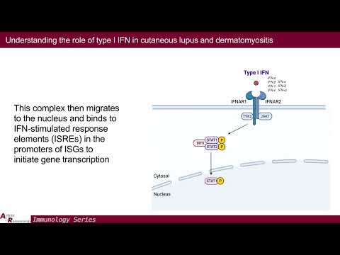 Understanding Type I IFN in Cutaneous Lupus & Dermatomyositis: Toward Better Therapeutics