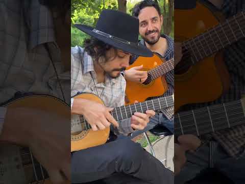 O mago da viola 🧙‍♂️ Arthur Noronha 👏🏻🤠