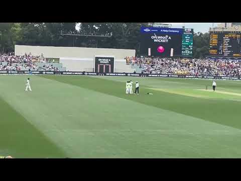 Border-Gavaskar Trophy: Virat Kohli walks out to loud cheers in Adelaide Test
