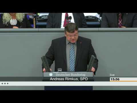 Andreas Rimkus: Änderung des Straßenverkehrsgesetzes [Bundestag 30.03.2017]