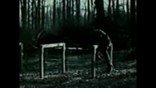 HUMAN RESOURCES Social Engineering In The 20th Century HQ FULL