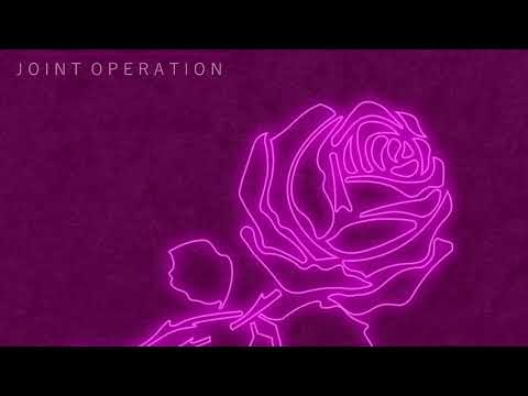 “Pink Velvet” by Joint Operation