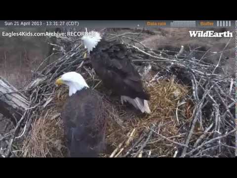 Eagles4kids ~ 4-21, 2013 ~ Lucy Brings Material