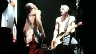 Red Hot Chili Peppers - Blackeyed Blonde - Live Off The Map [HD]