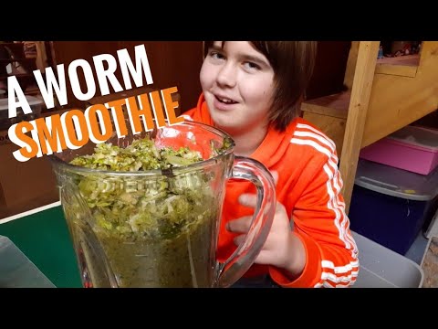 HOW To Feed Your COMPOSTING WORMS | The FULL Process
