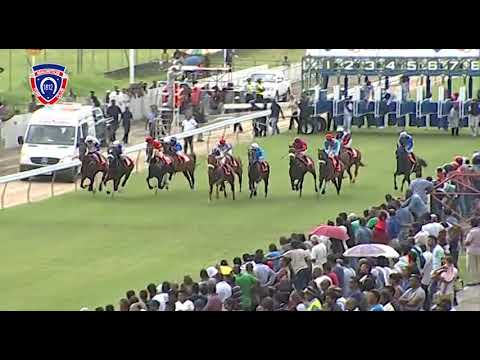 RM1 R7 - Bonjour Baby | J.Bardottier