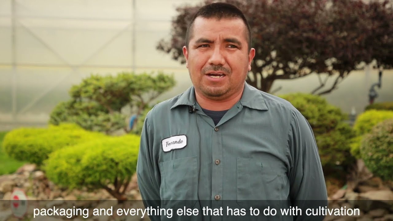 More than a migrant worker "Meet Fernando"