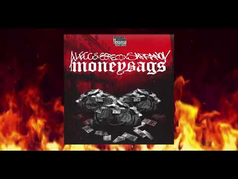 Alecc & Ggreco // Moneybags ft. Sapranov (Official Audio)