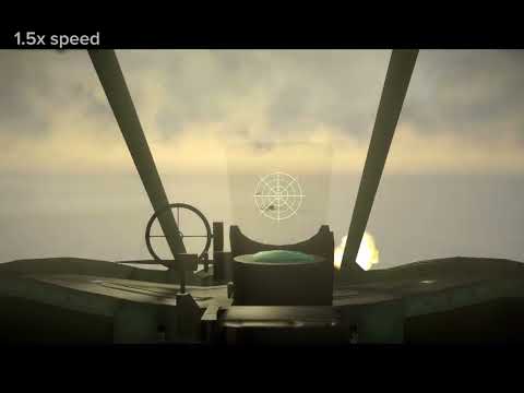 The Japanese experience 