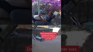 Man and bear startle each other